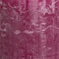 Stumpenkerzen Berry Lila 50x100mm, 4er Set - Deko Highlights für jeden Anlass | Floristik21.de
