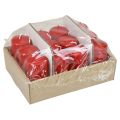 Stumpenkerzen H100 Ø50cm Rot Kerzen 12St | Floristik21.de