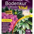 Floristik21 Substral Bodenkur Rhodo-Vital 1kg