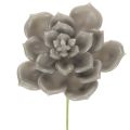 Floristik21 Künstliche Sukkulente aus Wachs mit Drahtkern, Grau-Grün, 8 cm Ø, Set à 8 Stück