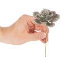 Künstliche Sukkulente aus Wachs mit Drahtkern, Grau-Grün, 8 cm Ø, Set à 8 Stück | Floristik21.de