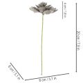 Künstliche Sukkulente aus Wachs mit Drahtkern, Grau-Grün, 8 cm Ø, Set à 8 Stück | Floristik21.de