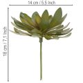 Künstliche Sukkulente grün 18cm 3er-Set aus Kunststoff für Innenräume | Floristik21.de