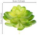 Künstliche Sukkulente Grün, 10 cm Höhe, Set aus 4 Stück, Dekoration für Schale oder Vase | Floristik21.de
