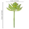 Kunstpflanze Sukkulente Grün, Kunststoff, Höhe 9 cm, Innenraumdekoration | Floristik21.de