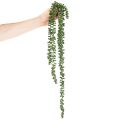 Kunstpflanze Girlande Sukkulente 80 cm Grün Kunststoff Innenbereich | Floristik21.de