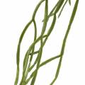 Floristik21 Sukkulente hängend künstlich Grün 110cm