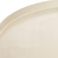 Dekoteller aus Metall beige