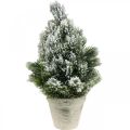 Floristik21 Mini Weihnachtsbaum im Topf Künstlich Beschneit Ø18cm H32cm
