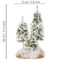 Schneetannen aus Kunststoff auf Styroporunterlage mit Moos 29 cm für Weihnachts- und Tischdekoration | Floristik21.de