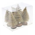 Floristik21 Mini Tannenbäume Tischdeko Gold Weihnachtsdeko H7cm 6St