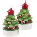 Floristik21 Teelichter Weihnachten Teelicht Tannenbaum H6,5cm 6St