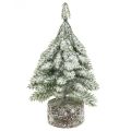 Floristik21 Tannenbaum mit Schnee, Weihnachtsdeko, Deko-Tanne H14cm