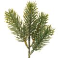 Floristik21 Künstlicher Tannenzweig Grün 25cm Kunststoff 24 Stück