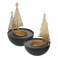 Floristik21 Teelichthalter Weihnachtstannen Glitter Schwarz, Golden Ø8,5cm 2St