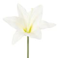 Floristik21 Kunstblume Tigerlilie Weiß 29cm Bund 6 Stück für Innenbereich