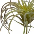 Floristik21 Tillandsie künstlich zum Stecken Grün-Lila Kunstpflanze 13cm