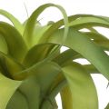 Tillandsie künstlich zum Stecken Hellgrün Kunstpflanze 30cm