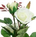Floristik21 Tischdeko Rose im Topf Weiß 24cm