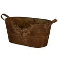Floristik21 Metallschale oval mit Griffen und Hirsch-Motiv im Rost-Look 36cm