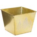 Floristik21 Pflanzgefäß Metall 18cm quadratisch gold mit glitzerndem Tannenmotiv