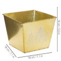 Pflanzgefäß Metall 18cm quadratisch gold mit glitzerndem Tannenmotiv | Floristik21.de