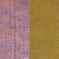 Floristik21 Filzband, Topfband, Wollband zweifarbig Senfgelb, Violett 15cm 5m