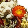 Floristik21 Trockenblumen-Bukett Strohblumen und Strandflieder 125g Trockenfloristik