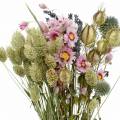 Floristik21 Wildgräser-Strauß mit Strohblumen Trockenfloristik 70g