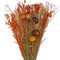 Floristik21 Trockenblumen Bouquet Orange-Mix 42cm