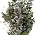 Floristik21 Trockenblumenstrauß Eukalyptus Strauß Disteln 45-55cm 100g