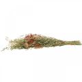 Floristik21 Trockenblumenstrauß Getreide und Mohn Trockendeko 60cm 100g