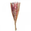 Floristik21 Trockenblumenstrauß Rosa Weiß Phalaris Sterndolde 80cm 160g