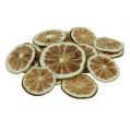 Floristik21 Limonenscheiben grün 500g Limettenscheiben