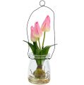 Floristik21 Tulpe im Glas Rosa H22,5cm 1St
