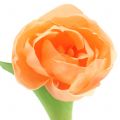 Floristik21 Tulpe künstlich Pfirsichfarben 26,5cm  5St