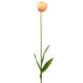 Floristik21 Tulpen Rosa-Gelb 86cm 3St