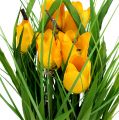 Floristik21 Tulpen im Topf Gelb 30cm