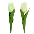 Floristik21 Frühlingsdeko, Künstliche Tulpen, Seidenblumen, Deko-Tulpen Grün/Creme 12St