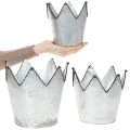 Übertopf Krone Metall Deko Zink Ø21,5/19,5/17cm 3er-Set | Floristik21.de