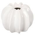 Floristik21 Kürbisform Vase 19 cm Weiß Glänzend Innenbereich Trockenblumen