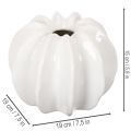 Kürbisform Vase 19 cm Weiß Glänzend Innenbereich Trockenblumen | Floristik21.de