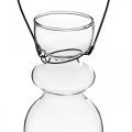 Mini Glasvasen zum Aufhängen Bügel Bauchig H11/11,5cm 2er-Set
