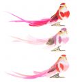 Floristik21 Vogel am Clip Pink, Rosa 15cm 12St