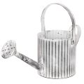 Floristik21 Vintage-Pflanzkanne Ø17cm, Deko Gießkanne, Metall Übertopf Shabby Chic