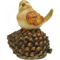 Floristik21 Herbstdeko Vogel Deko Zapfen Vogelfigur Herbst H19cm