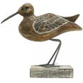 Vogel-Skulptur aus Holz, Baddeko, Wasservogel H22cm