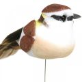 Frühlingsdeko, Vögeln am Draht, künstlicher Vogel Braun, Weiß H3cm 12St