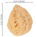 Walnüsse Naturprodukt zur Dekoration 3-4 cm 300g | Floristik21.de