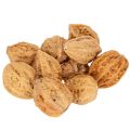 Floristik21 Walnüsse Natur braun 4-5 cm 300 g für Dekoration und DIY